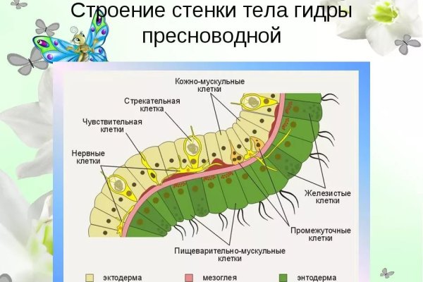 Клир ссылка на блэкспрут bs2web top