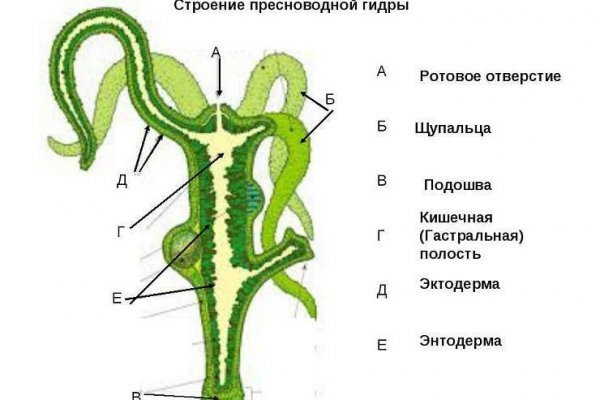 Блэкспрут ссылка клаб